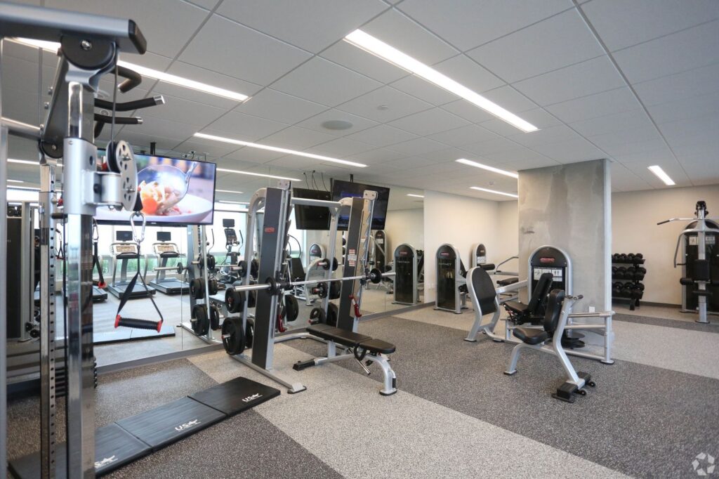 Everly on The Loop (7) (1)