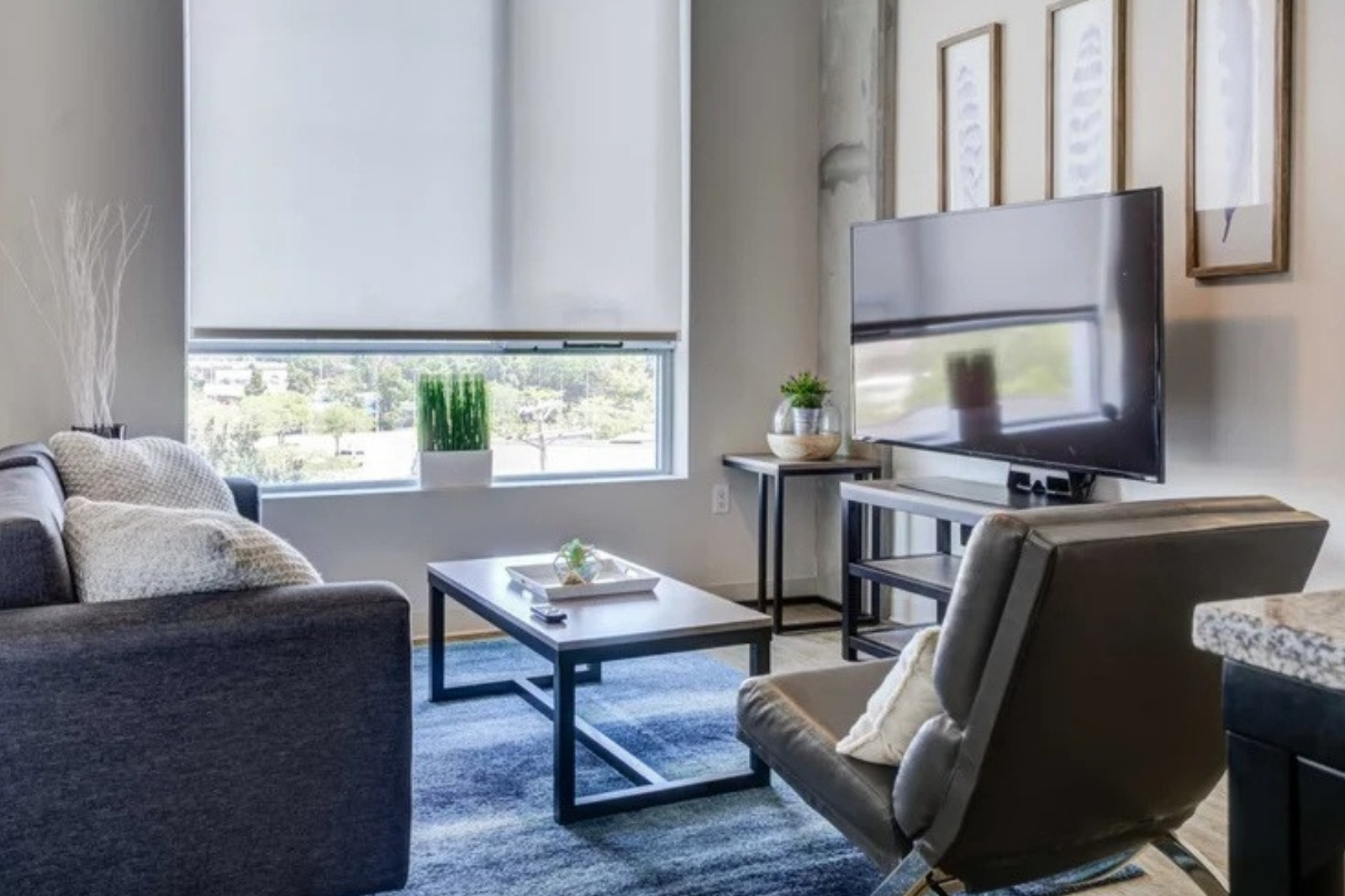 furnished-apartments-saint-louis-mo-student-guide-hero Furnished Apartments in Saint Louis, MO: Student Guide